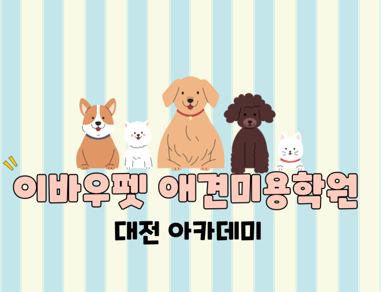  대전애견미용학원 추천 이바우펫애견미용학원 후기 가져왔어용