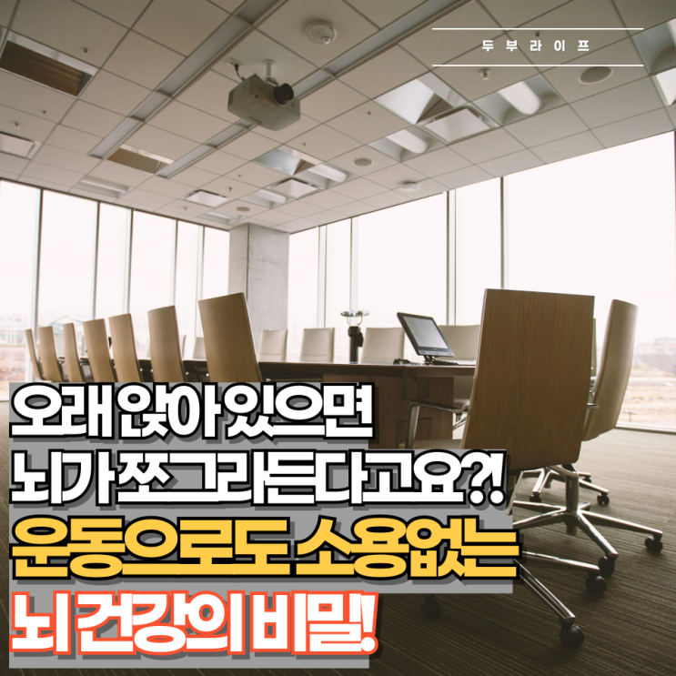  오래 앉아 있으면 뇌가 쪼그라든다고요?! 운동에도 소용없는 뇌 건강의 비밀!