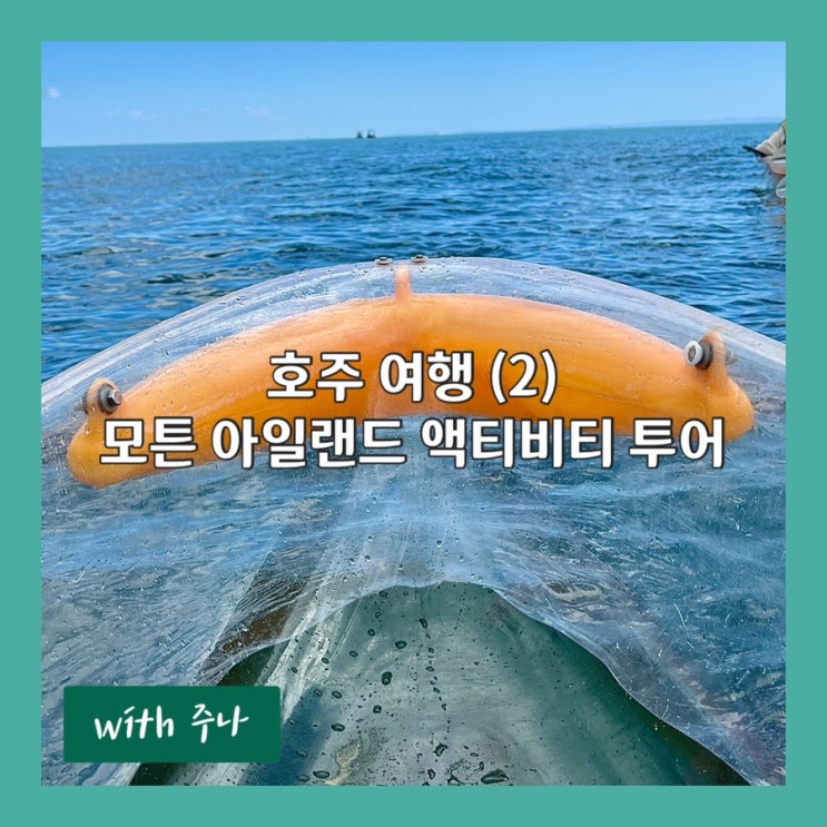  호주 여행 2부, 모튼 아일랜드 액티비티 3종 투어