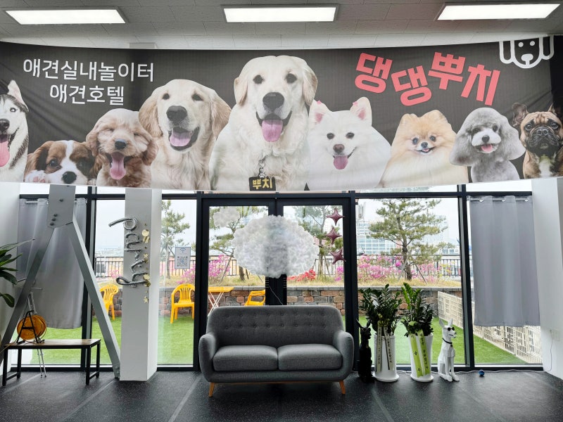 사진 2