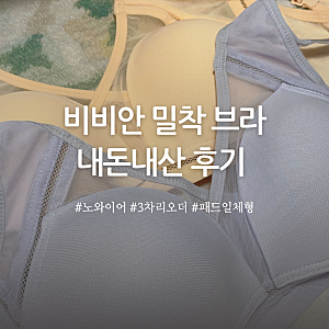 비비안 밀착 노와이어 속옷 세트 전색상 내돈내산 후기