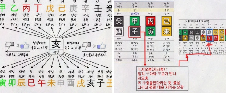  당신의 고민을 해결해줄 보타점, 사주운세로 인생의 길을 밝혀보세요!