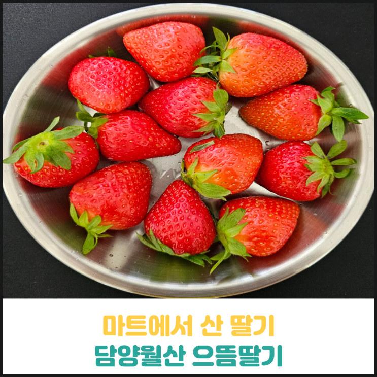 담양 월산 으뜸딸기 후기 담양 월산 으뜸딸기 후기