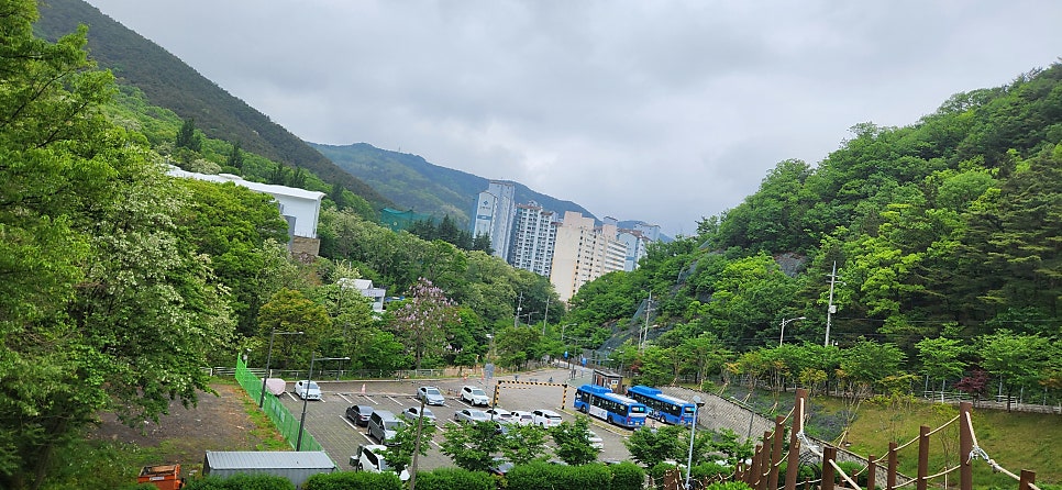 신토리병천토속순대 사진 1