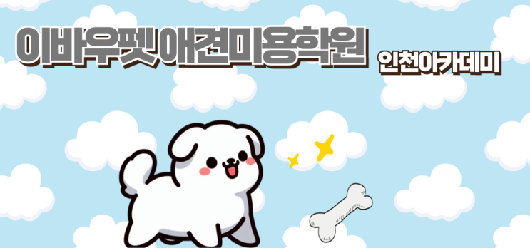  애견미용사로 취업하고 싶다면 이바우펫애견미용학원 선택하자 인천애견미용학원 추천
