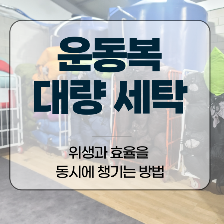  운동복 대량 세탁, 위생과 효율을 동시에 챙기는 방법