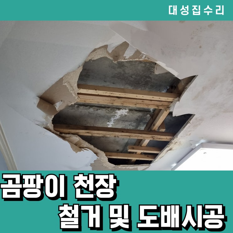  대전 아이방 천장누수  곰팡이잡고 석고보드교체부터 부분도배까지