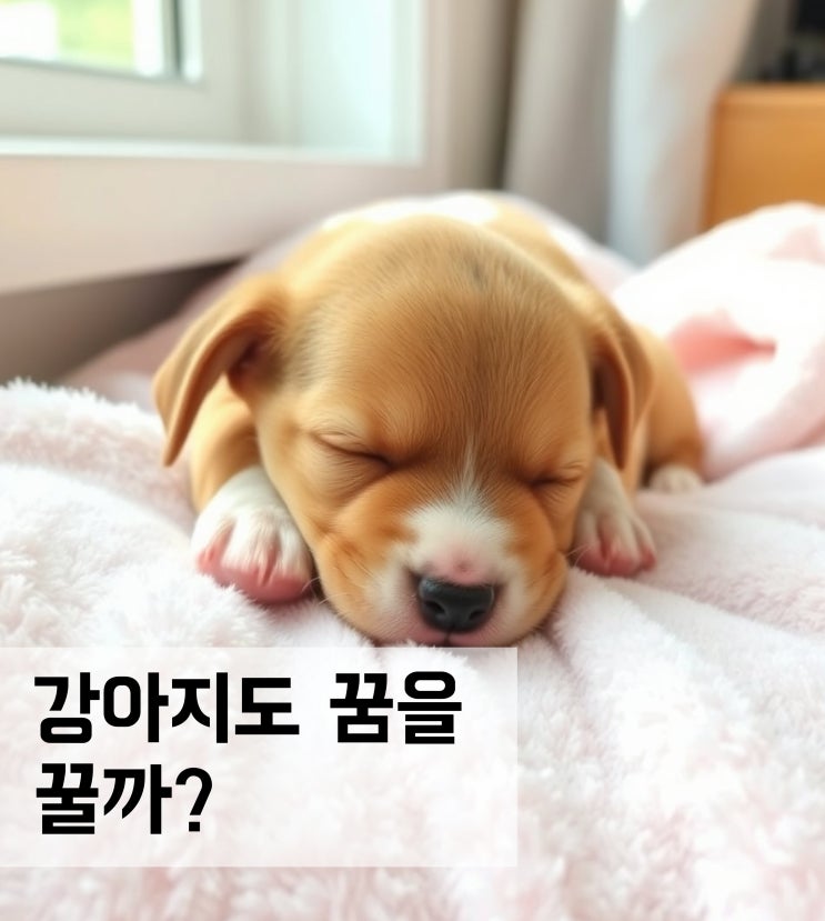  강아지도 꿈을 꿀까?