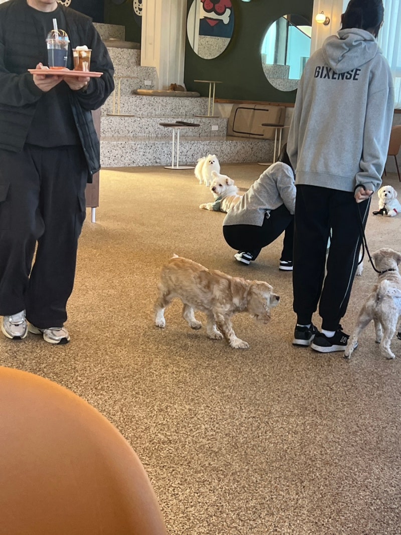 사진 2