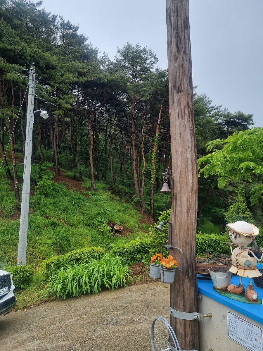 포포나무펜션 사진 6