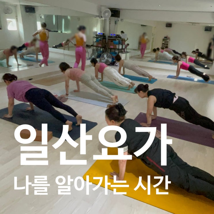  일산요가 단순한 스트레칭이 아닌 나를 찾아가는 시간