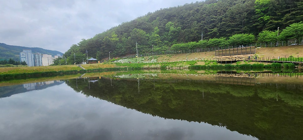 신토리병천토속순대 사진 6
