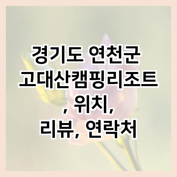 고대산캠핑리조트