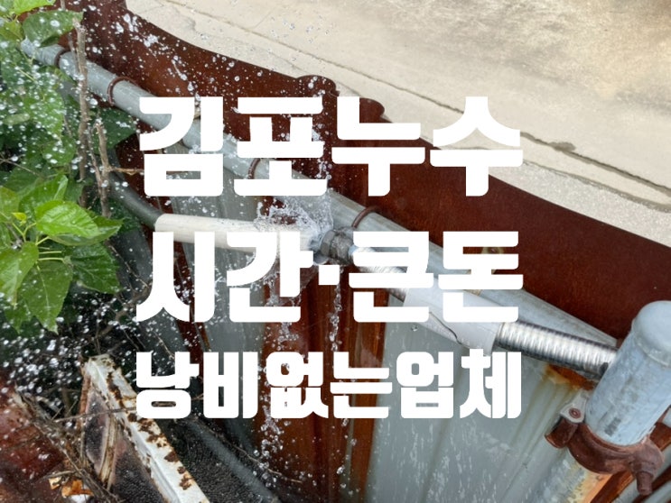 김포 누수 전문, 시간 큰돈 낭비하지 않는 업체 선정 김포 누수 전문, 시간 큰돈 낭비하지 않는 업체 선정