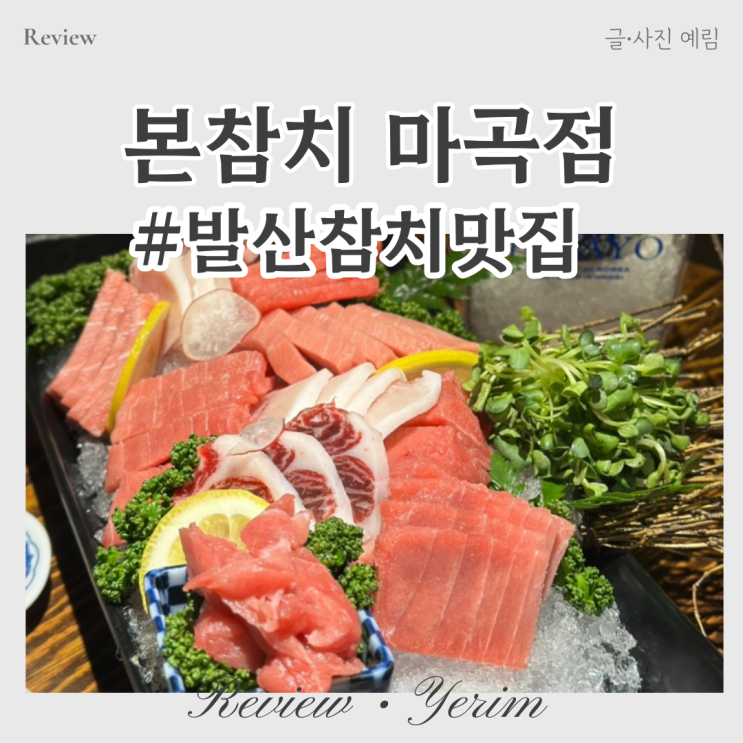  발산역 참치 맛집 본참치 마곡점