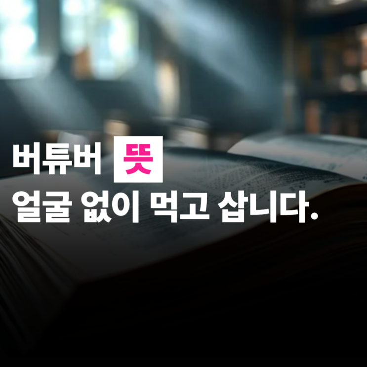  버튜버 뜻, 얼굴 없이 먹고 삽니다.