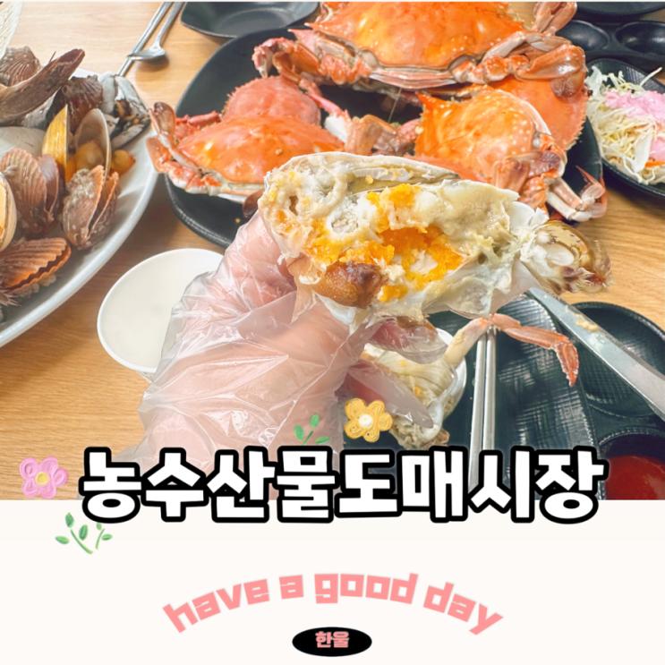  수원 농수산물도매시장 맛집 꽃게 조개 막퍼주는 오양수산
