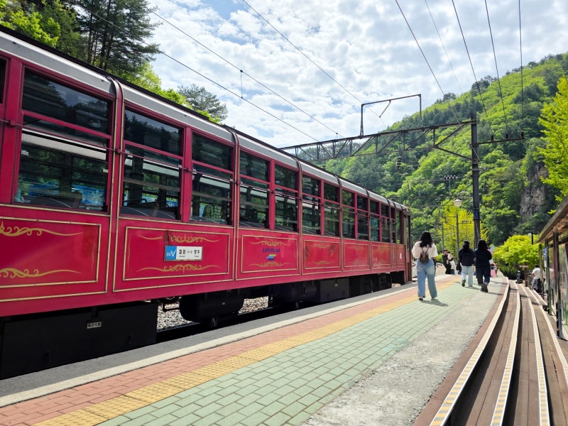 사진 3