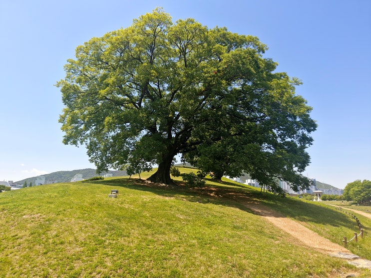  김해 역사 여행 가볼 만한 곳 대성동 고분군 산책, 주차장