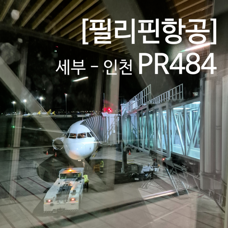  세부 여행 필리핀항공 PR484 탑승 후기 기내식 키즈밀