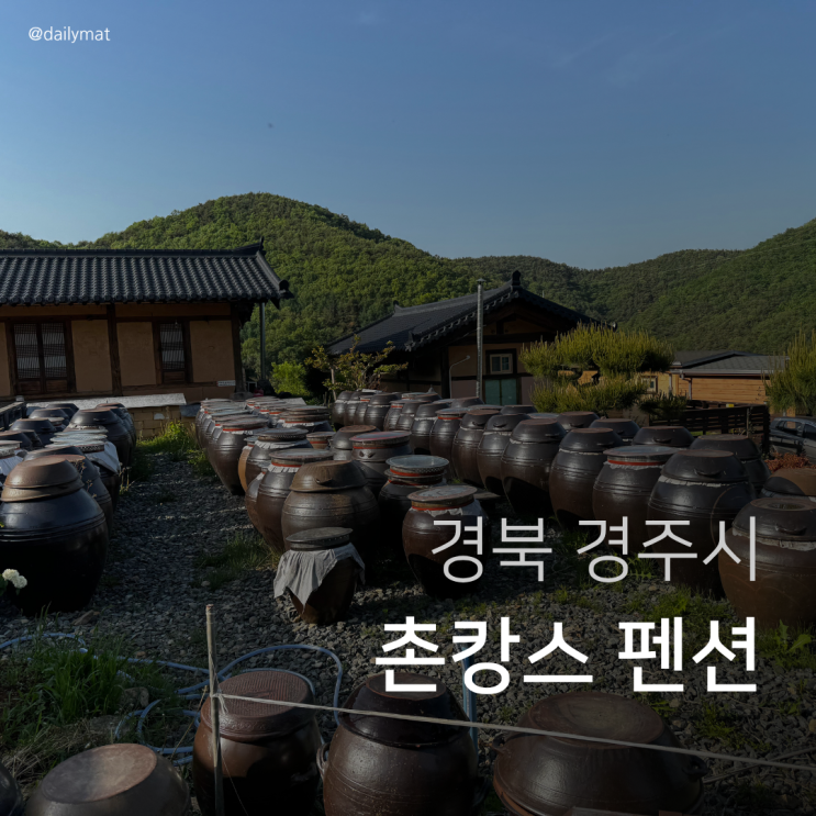  [경주 펜션] 경주 하늘터밭 - 촌캉스 with 고양이