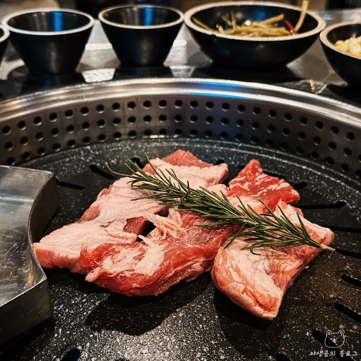  파주 야당 맛집 신선한 이베리코 모듬이 맛있는 육회품은돼지 야당역 고기집