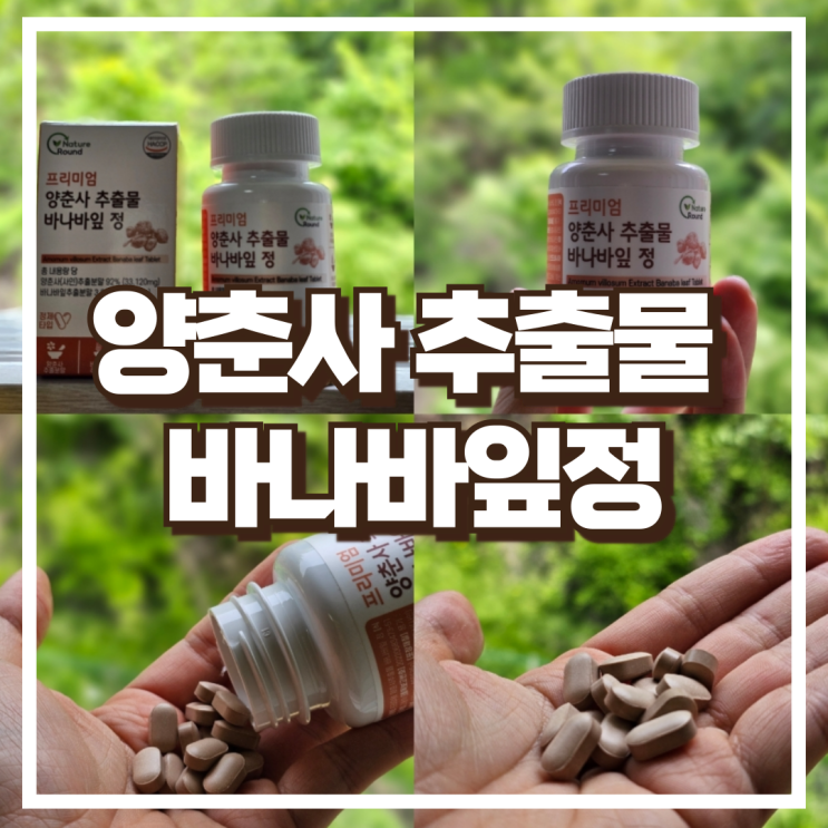  네이처라운드 양춘사 추출물 바나바잎 혈당케어 60정 소개