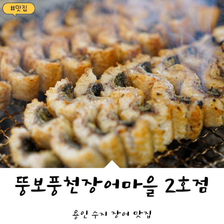  용인 수지 풍덕천동 맛집! '뚱보풍천장어마을 2호점' 국내산 자포니카 장어!