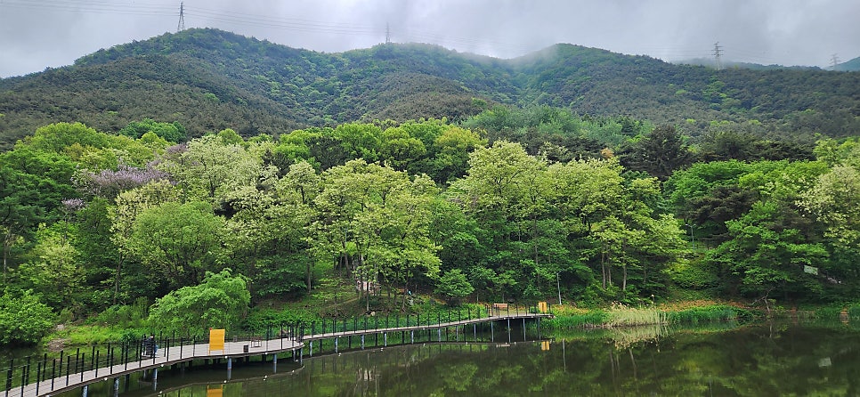 신토리병천토속순대 사진 4