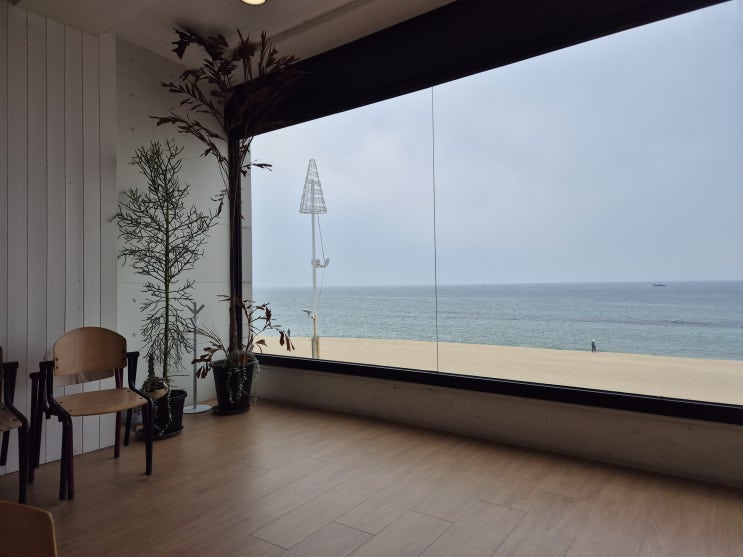  강릉 오션뷰카페 강릉샌드 안목해변점