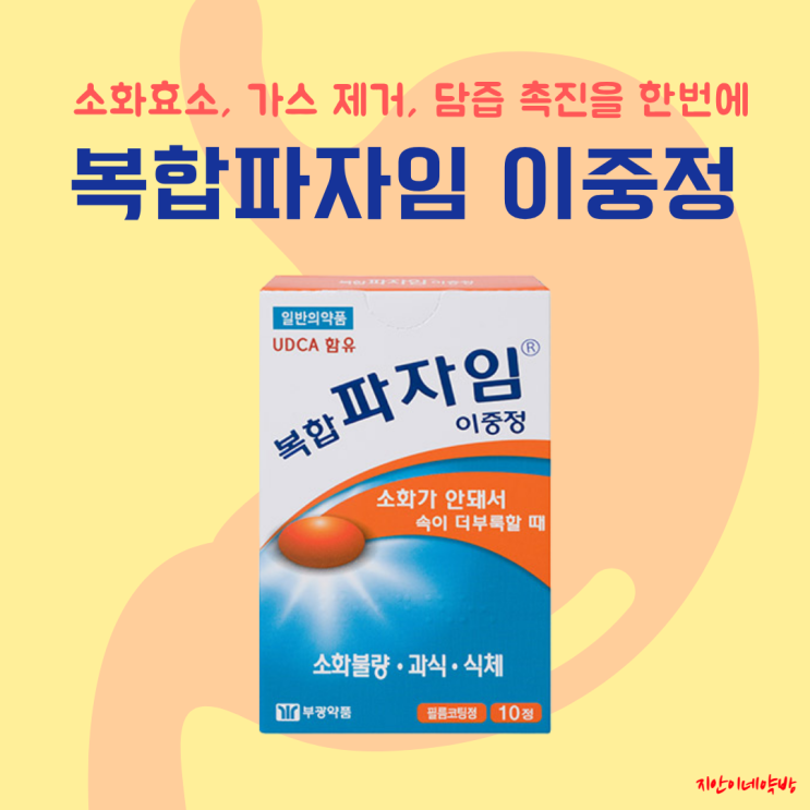  복합파자임 이중정 복용방법 주의사항 이중정 효과