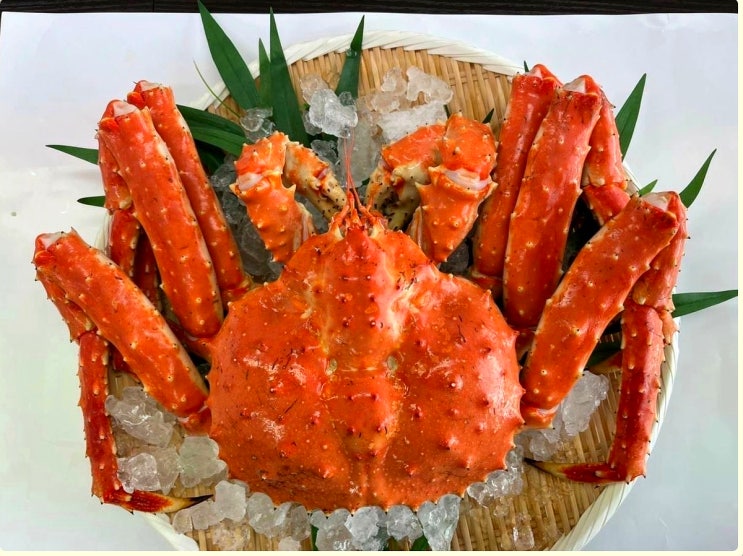 노량진 수산시장 대게 킹크랩 시세 가격 차이 노량진 수산시장 대게 킹크랩 시세 가격 차이