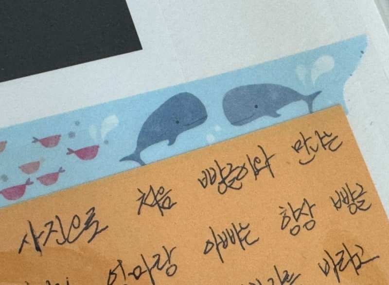 온가족이 꾼 태몽: 범고래 태몽, 사자 태몽, 곰 태몽(feat.아들 태몽)