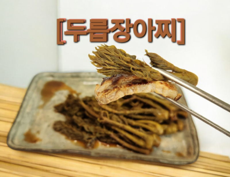 산나물의 제왕! 두릅장아찌 만들기 만능절임장 만들기와 두릅장아찌 보관법