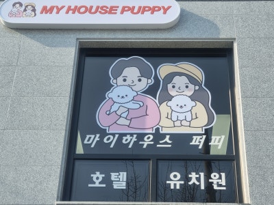 사진 2