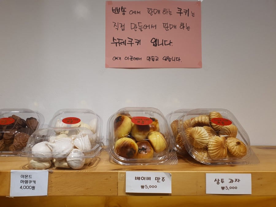 쁘숑 사진 6
