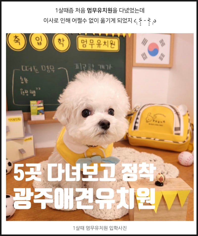 사진 6