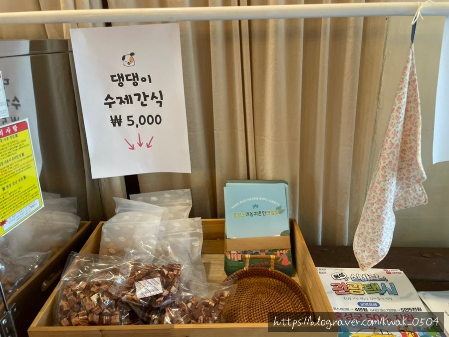 홍담 사진 5
