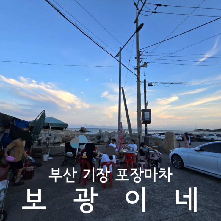  부산 기장 포장마차 보광이네 조개구이 애견동반 내돈내산 후기