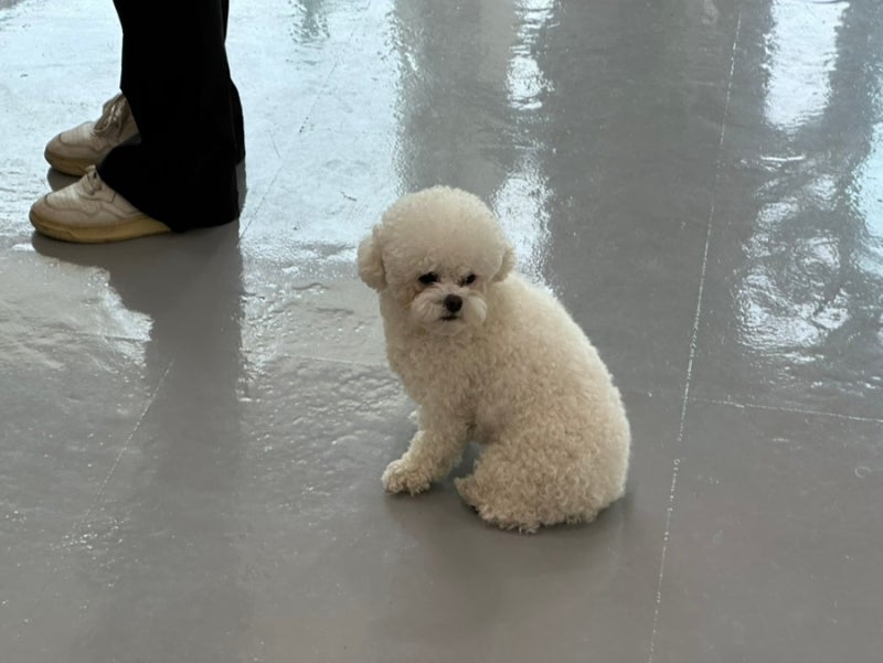 사진 3