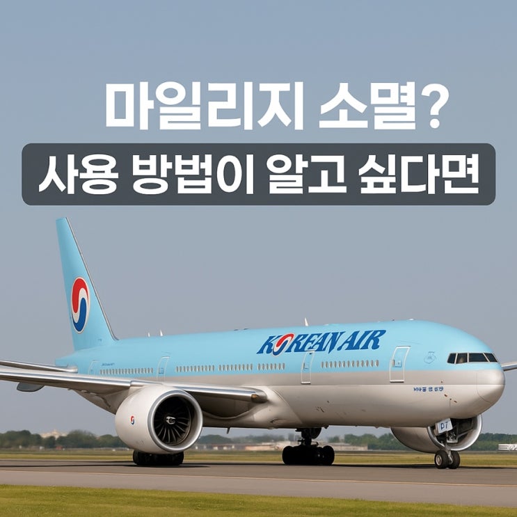 대한항공 마일리지 소멸 전 필독! 사용 방법 총정리 대한항공 마일리지 소멸 전 필독! 사용 방법 총정리