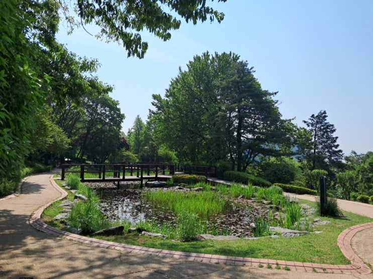 서울 남산 야외식물원_ 반려견 산책코스 서울 남산 야외식물원_ 반려견 산책코스