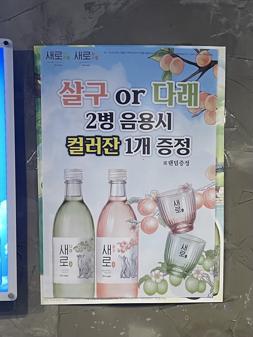 신열날개 사진 6