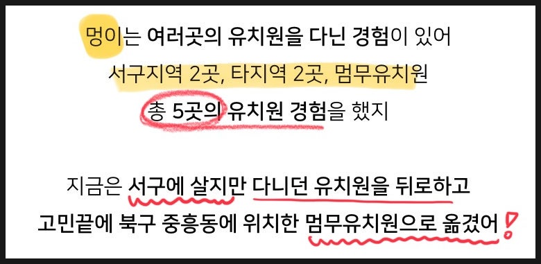 사진 5