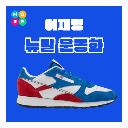  이재명 뉴발 운동화 선거운동 빨강 파랑 신발 패션 제품 가격 정보