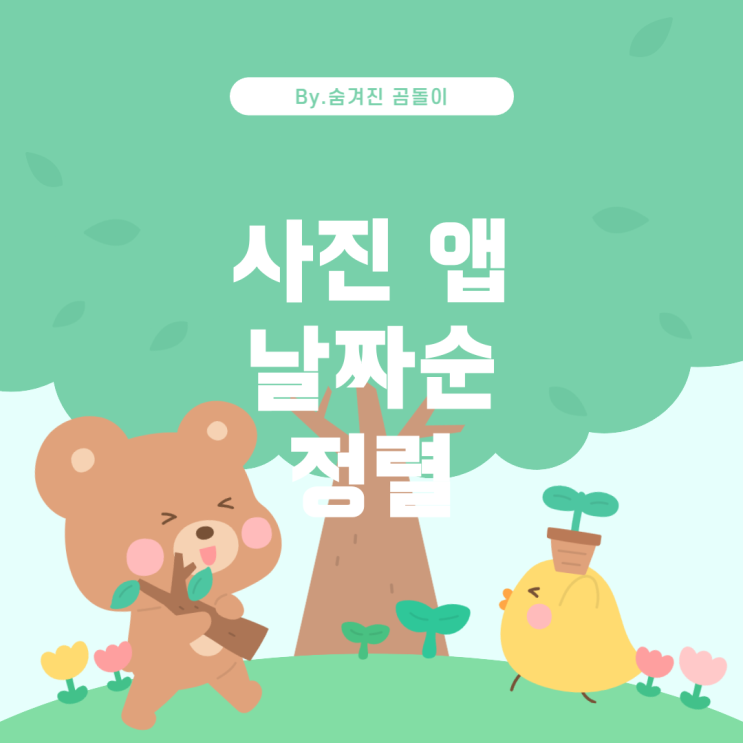  이폰 사진 앱과 카카오톡에서의 사진 정렬 차이 아