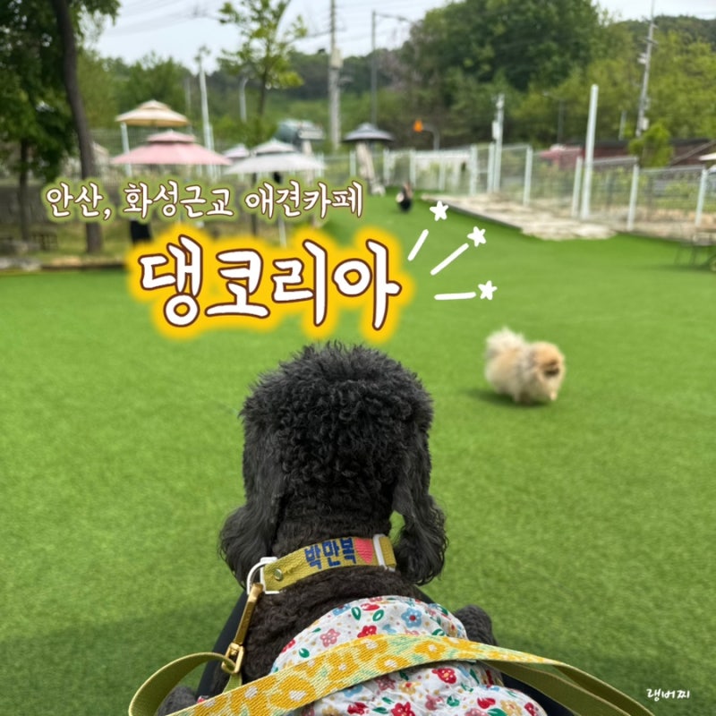 사진 4