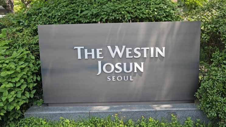 서울 3대 호텔 뷔페, 웨스틴 조선 서울 아리아 뷔페 솔직 후기와 추천 메뉴! 서울 3대 호텔 뷔페, 웨스틴 조선 서울 아리아 뷔페 솔직 후기와 추천 메뉴!