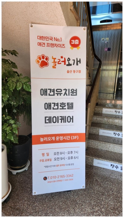 사진 3