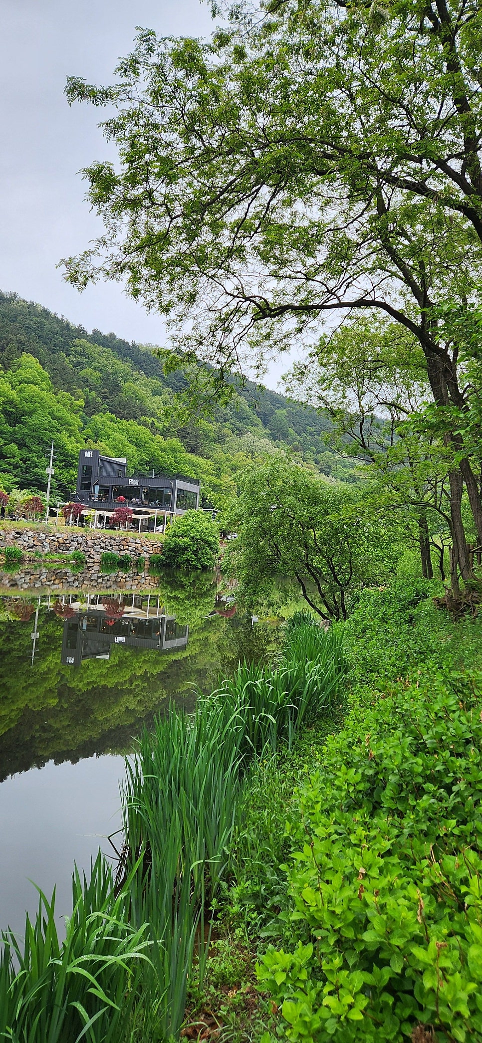 신토리병천토속순대 사진 5